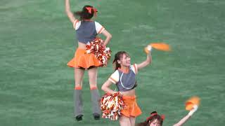 VENUS 「巨人：チアリーダー」