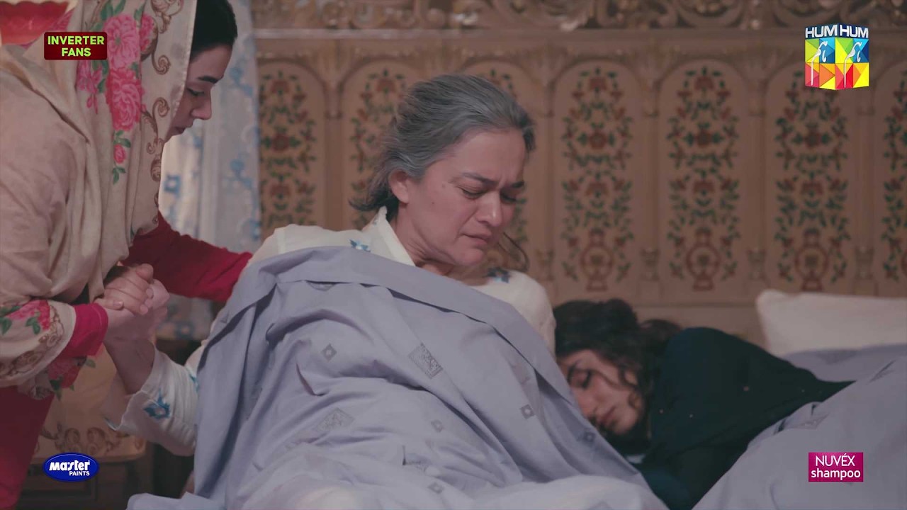 Lagta Hai Yeh Nokrani Sub Ko Marwa Kar Choray Gi...! #zanjeerain - HUM TV