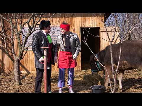 Fernando de la Caransebeș LA ȚARĂ 🤣 | „Vaca pe care o mulgi tu e TAUR!” 🐄