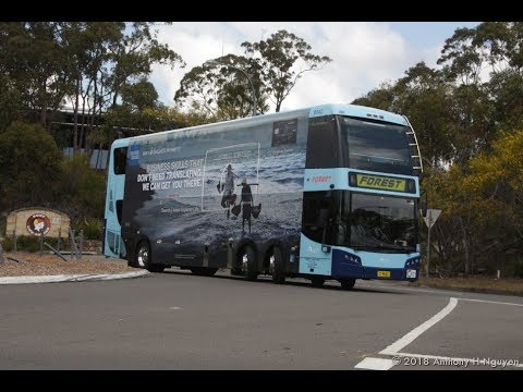 Forest Coach Lines [Terrey Hills] Bustech CDi - Cummins ISL Euro 5, m/o 9642