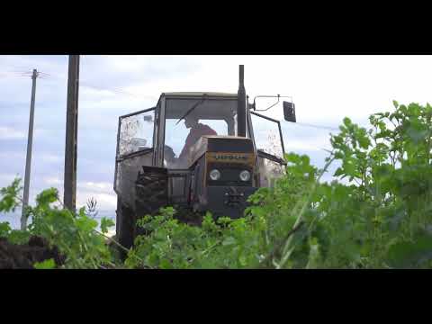 Jesienna orka poplonu | Ursus 1614 🇵🇱