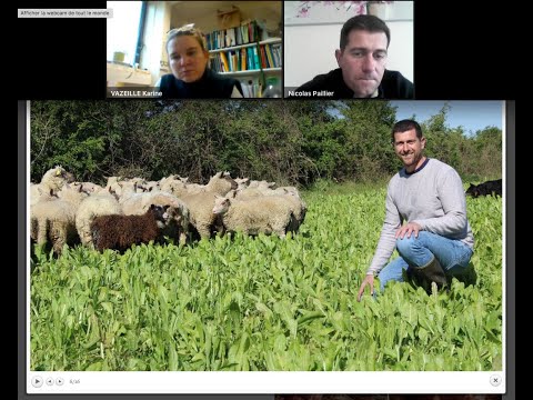 , title : 'Ovins allaitants - Atelier 3 du colloque Sélection animale des ruminants'
