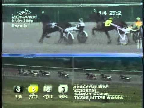 Armbro Flight Stakes 2006 -Peaceful Way