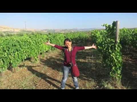 Couchsurfing Experience in Barile, Italy