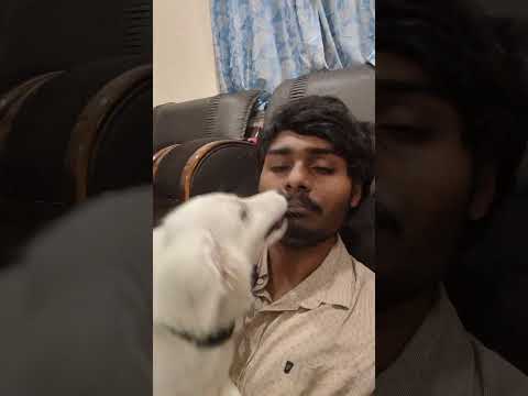 Rio is beyond his limits