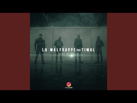 Dans ma folie (feat. Timal)