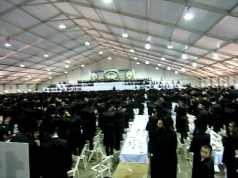 BOBOV WEDDING 11/27/08  1/23