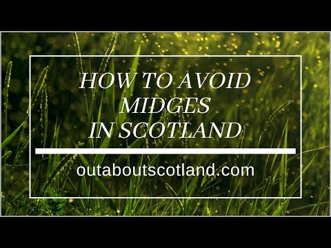 How to Avoid Midges in Scotland