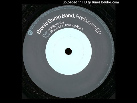 Bionic Bump Band - Shades