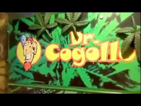 Dr. Cogollo Grow Shop - Parafernalia Cannabica