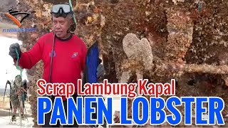 Download lagu Km.Sabuk Nusantara 31 mp3 Download lagu Km.Sabuk Nusantara 31 mp3