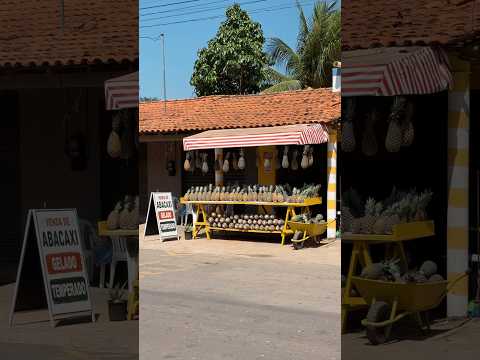 Dê uma passadinha na nossa Barraca , BARRAQUINHA, LAGO DOS RODRIGUES - MA