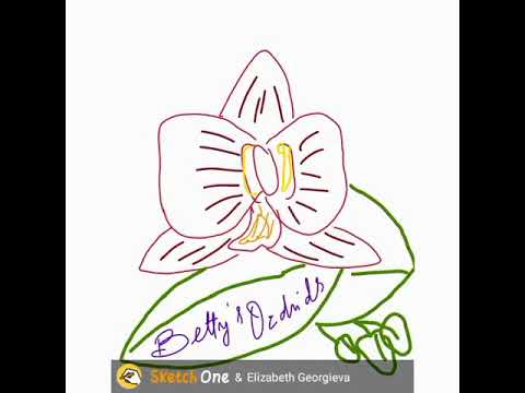 #MyOrchids #WaterCulturedOrchids #2021JulySummerOrchids