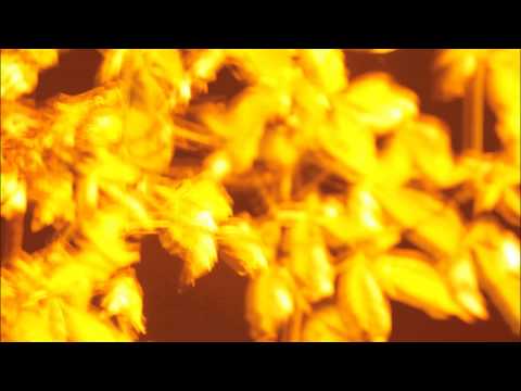 Empathy Soul Project - Role Model Killa ( Demo )