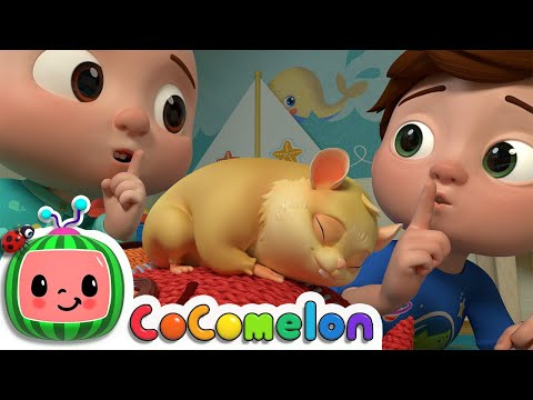 Class Pet Sleepover | CoComelon Nursery Rhymes & Kids Songs