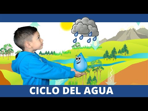 El Ciclo Del Agua | Videos Educativos Para Niños