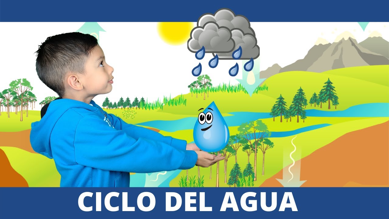 El Ciclo Del Agua | Videos Educativos Para Niños