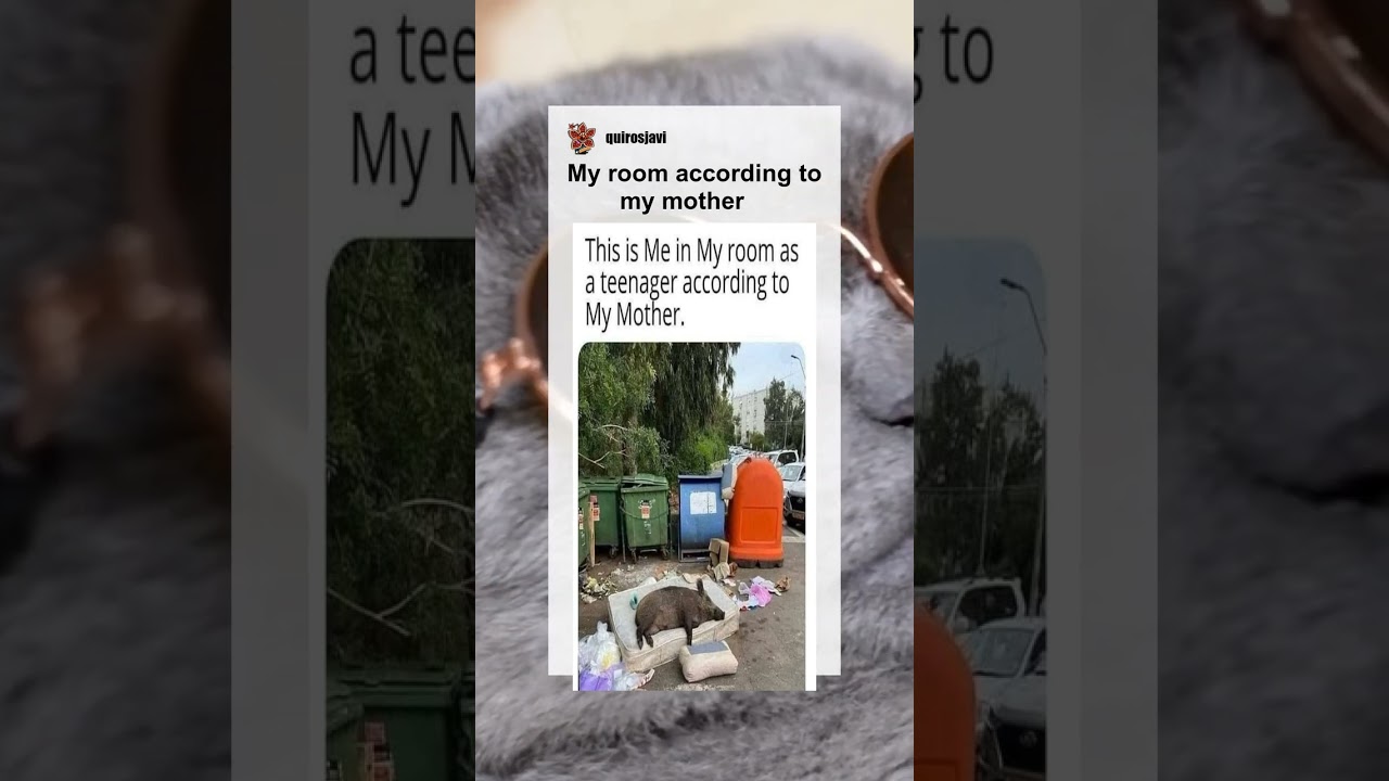 My room according to my mother 😂 #memes #meme #memesdaily