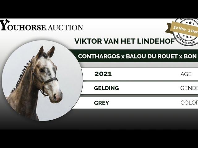 Viktor van het Lindehof under the saddle