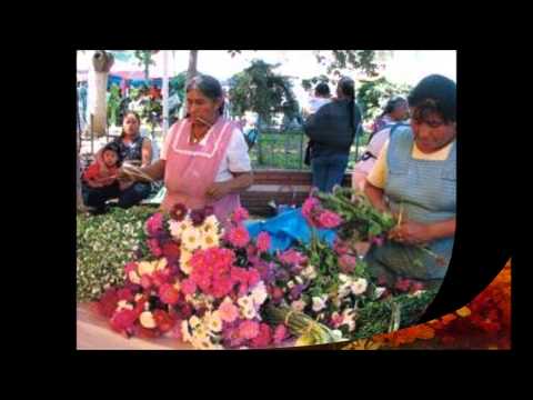 Mi Linda Oaxaca  (Trio Montealban)