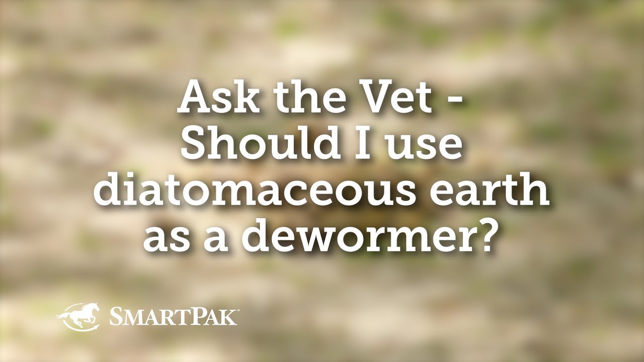 Ask the Vet - Should I use diatomaceous earth as a dewormer? - YouTube