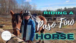 WE'RE BACK! | RIDING A NEW HORSE ON EXTREME TRAILS | VLOG