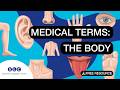 PARTS Of The BODY For HEALTHCARE Professionals