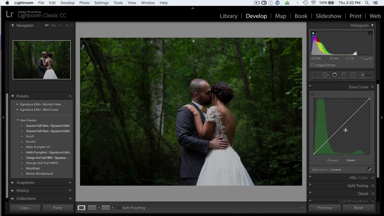 how to use the tone curve in adobe lightroom by signature edits