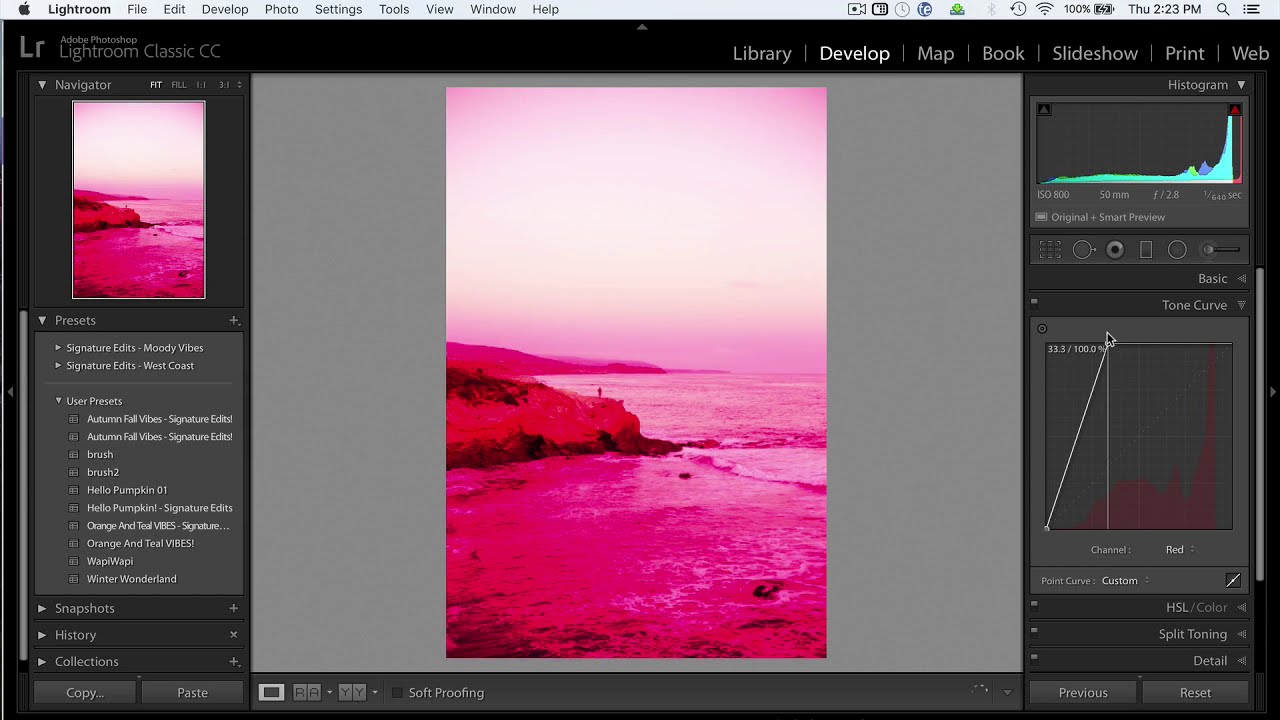 how to use the tone curve in adobe lightroom by signature edits