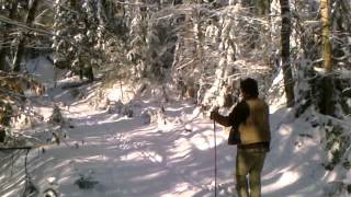 preview picture of video 'Cross country ski Birch point Maine'