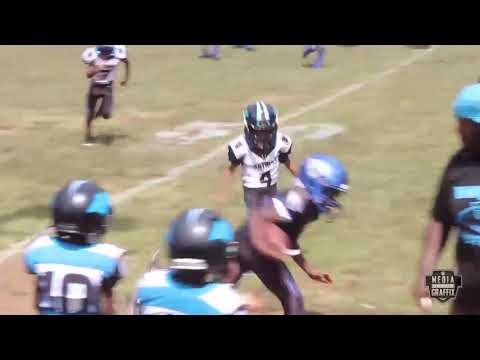 Central Dekalb Jaguars 7U Week 1 Highlights vs Welcome All Panthers  2019