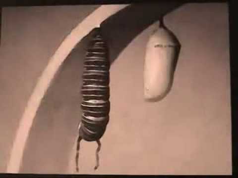 download lagu mp3 mp4 Far Radio Clouds Circadian Flight Through The Silver Door 2011, download mp3 Far Radio Clouds Circadian Flight Through The Silver Door 2011 free download, download mp3 Far Radio Clouds Circadian Flight Through The Silver Door 2011