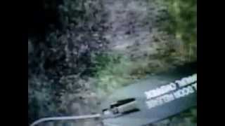 KMOV Survivors story