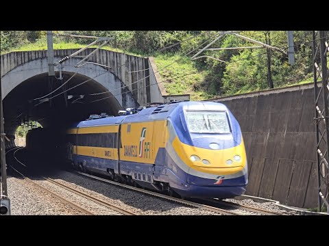 Treni Alta Velocità di ogni tipo sulla Direttissima Roma-Firenze | Frecciarossa, Italo, DIAMANTE 2.0