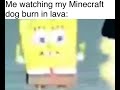 SpongeBob NOOOO