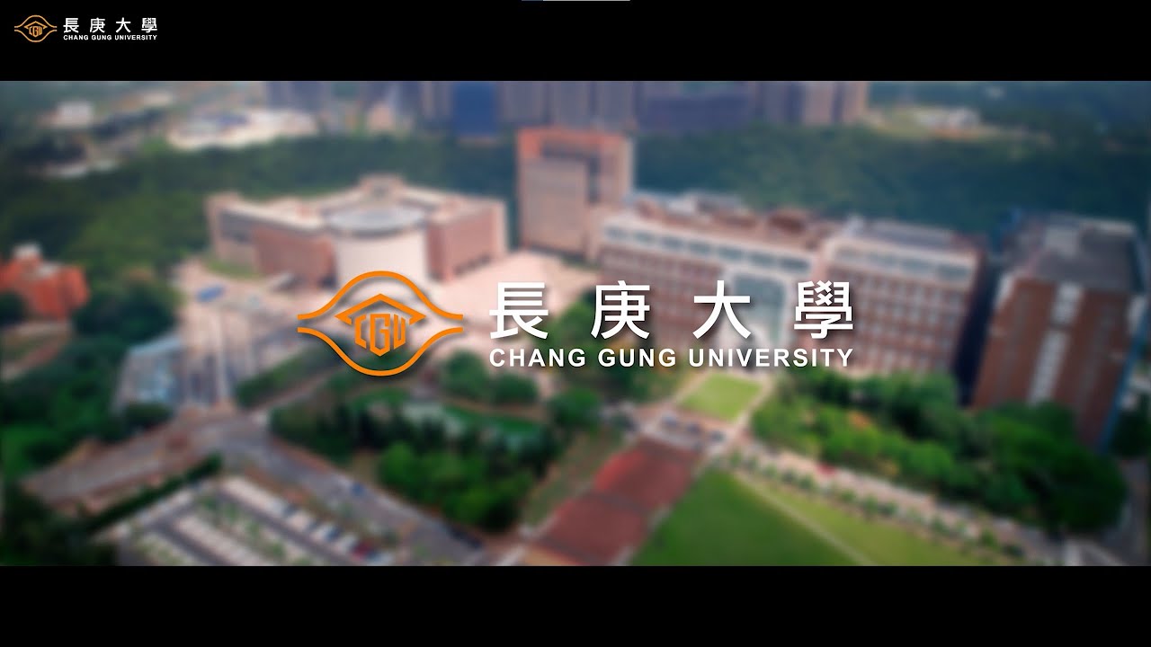 YouTube 影片