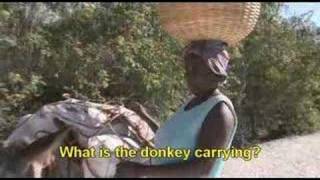 preview picture of video 'Donkeys more than laborers for Haitians'