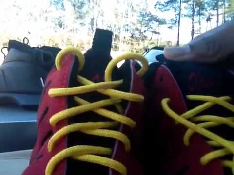 Collection Video: Thanksgiving Edition