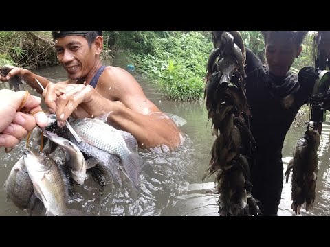 SE03EP111 Part 2 - PINA INIKUTAN ng PANTE ang SIITAN | SAPIN-SAPIN | San Pablo City, Laguna