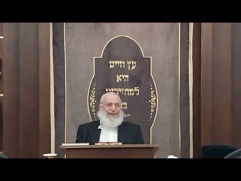 Verifying Doubts in Halacha | By Rav Asher Weiss Shlit"a (5786)