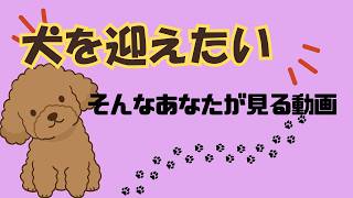 犬を迎えたい人が見る動画　#動物雑学　#雑学　#癒し動画