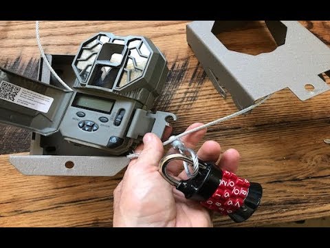 WHY DO PEOPLE STEAL?