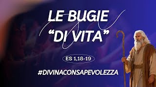 THE LIES OF LIFE - Massimo Coero Borga (Life Coach)