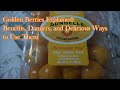 Golden Berries EXPLAINED Benefits Dangers And Delicious Ways To Use Them