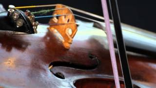 Craig duncan - Cotton eye Joe