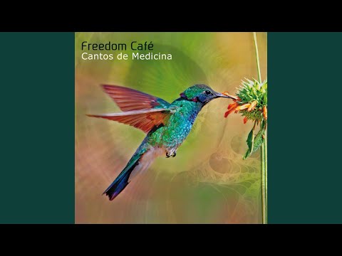 Salve a Rainha Do Mar