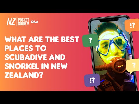 🤿 What are the Best Scuba Diving Spots in New Zealand? - NZPocketGuide.com
