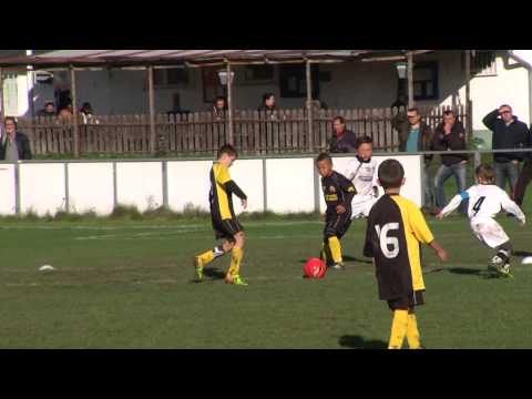10.11.2013:  Wr.Viktoria - FC Stadlau