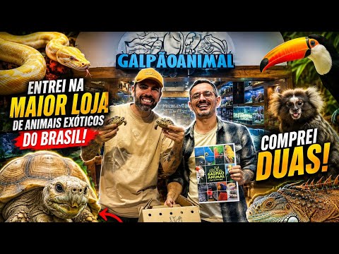     Visitei a maior loja de animais exóticos do Brasil e isso aconteceu...