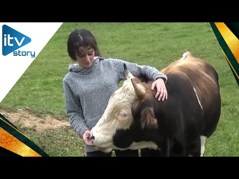 Ajša 12 god., peče hljeb od 3. razreda, igra fudbal u muškom klubu, ima svog bika Licka!